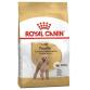 Royal Canin Poodle Adult Yetişkin Köpek Maması 3 Kg